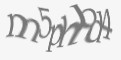 Защитный код