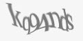 Защитный код
