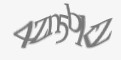 Защитный код