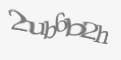 Защитный код