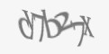 Защитный код