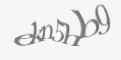 Защитный код