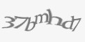 Защитный код