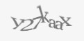 Защитный код