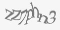 Защитный код