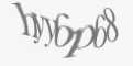 Защитный код