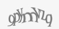 Защитный код