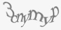 Защитный код