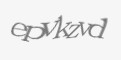 Защитный код