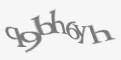 Защитный код