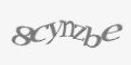Защитный код