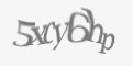 Защитный код