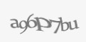 Защитный код