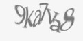 Защитный код