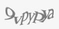 Защитный код