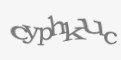 Защитный код