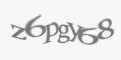 Защитный код