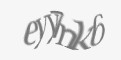 Защитный код