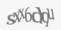 Защитный код