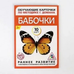 Обучающие карточки по методике Г. Домана «Бабочки», 10 карт, А6
