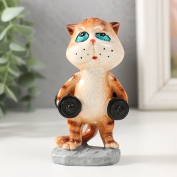 Фигурка полистоун лак Котишка с гантелями 6×4.5×9 см
