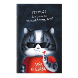 Словарь для записи иностранных слов 32 листа Аниме кот, обложка мелованный картон, глянцевая ламин