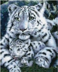 Алмазная картина Тигр с тигренком 50*40см 