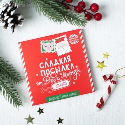 Шоколад в конверте "Сладкая посылка от Деда Мороза", 9 шт. по 5 г