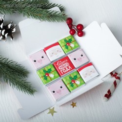 Шоколад в конверте "Сладкая посылка от Деда Мороза", 9 шт. по 5 г