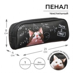 Пенал школьный, текстиль, 8×21×4 см Умный кот