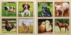 Картинки половинки домашние животные 2 планшета