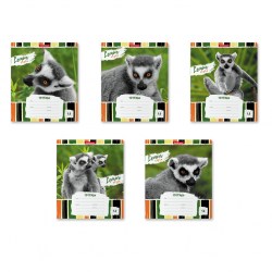 Тетрадь школьная ученическая Lemur Style 18 листов, клетка, 1 шт