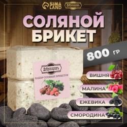 Соляной брикет набор 4 шт «Вишня, Ежевика, смородина, Малина»