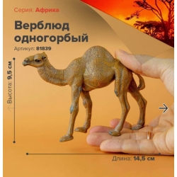 Фигурка животного Верблюд одногорбый 81839