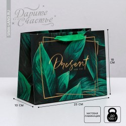 Пакет подарочный ламинированный упаковка Present for you MS 23 х 18 х 10 см