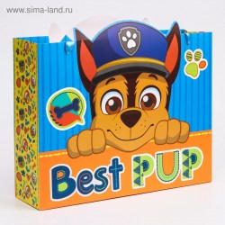 Пакет "Best pup", Щенячий патруль, 31х40х11 см