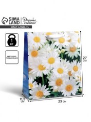 Пакет подарочный ламинированный, упаковка, Ромашки полевые, ML 23 х 
