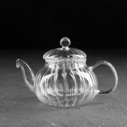 Чайник заварочный Диана со стеклянным ситом, 600 мл