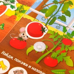Книжка с липучками Что где растёт? овощи фрукты
