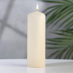 Свеча - цилиндр, 4×12 см, 15 ч, шампань 4205506