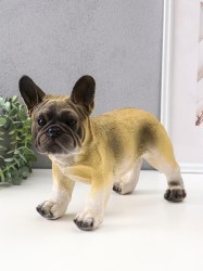 Копилка для денег «Французский бульдог»гипс, 14×34×25 см, бежевый