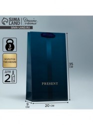 Пакет подарочный под две бутылки, упаковка, Present, 35 х 20 х 9 см