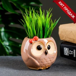 Декоративный горшок для цветов «Совёнок Бом» 180 мл, 7×6×6.5 см, керамический