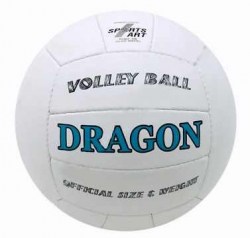 Мяч волейбольный DRAGON