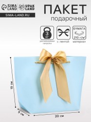 Пакет подарочный ламинированный с лентой «Голубой», горизонтальный, 19×20×9 см