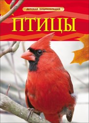 Детская энциклопедия Птицы