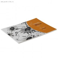 Альбом для набросков А5, ЗХК «Сонет», 30 листов, 150 г/м², на склейке