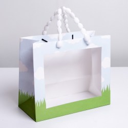Пакет крафтовый с пластиковым окном Friends, 24 х 20 х 11 см