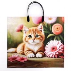 Пакет Рыжий котенок, полиэтиленовый с пластиковой ручкой, 