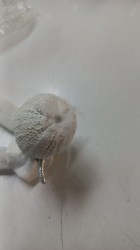 уценка Статуэтка фигурка Ангелочек в шапке пушок сидит на полке 15 см